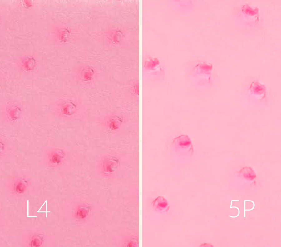 (L4) and 5P 